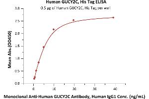 ELISA image for Guanylate Cyclase 2C (Heat Stable Enterotoxin Receptor) (GUCY2C) (AA 24-430) (Active) protein (His tag) (ABIN7013420)