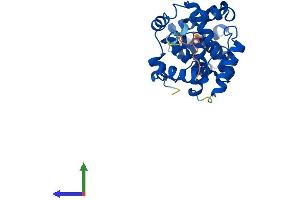 AlphaFold protein structure predicition of Mouse Recombinant Ccnc Protein, UniprotID Q62447