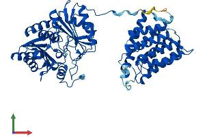 Protein Structure (PS) image for Dihydroxyacetone Kinase 2 Homolog (DAK) (AA 1-575) protein (His tag) (ABIN7544508)