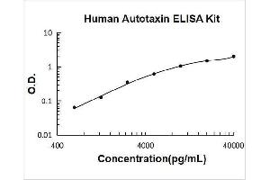 Ectonucleotide Pyrophosphatase / phosphodiesterase 2 (ENPP2) ELISA Kit