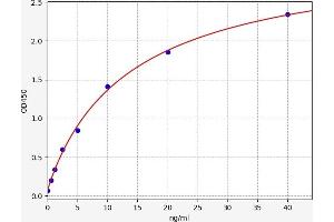 Typical standard curve (LALBA ELISA Kit)