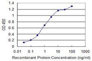 Detection limit for recombinant GST tagged PPFIBP2 is 0. (PPFIBP2 Antikörper  (AA 1-100))