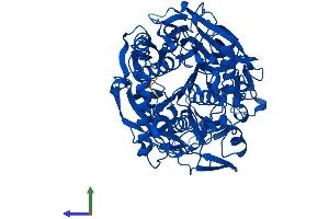 Protein Structure (PS) image for Prolyl Endopeptidase (PREP) (AA 1-710) protein (His tag) (ABIN7551004)