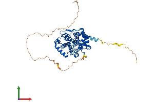 AlphaFold protein structure predicition of Mouse Recombinant Ccne1 Protein, UniprotID Q61457