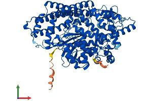 AlphaFold protein structure predicition of Mouse Recombinant Thop1 Protein, UniprotID Q8C1A5