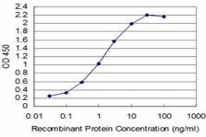 Detection limit for recombinant GST tagged T is approximately 0. (T Brachyury Protein (AA 222-320) Antikörper)