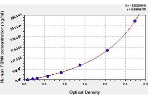 Typical Standard Curve (TGM4 ELISA Kit)