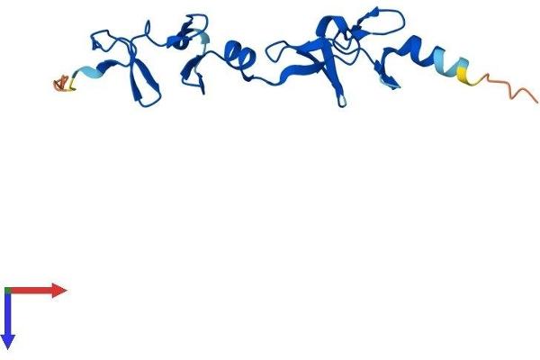 LMO3 Protein (AA 1-145) (His tag)