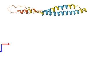 IFITM2 Protein (AA 1-132) (His tag)