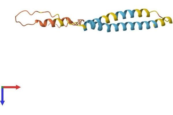 IFITM2 Protein (AA 1-132) (His tag)