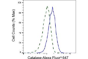 Validation of Catalase knockdown using flow cytometry. (Rekombinanter Catalase Antikörper)
