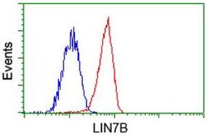 Flow cytometric Analysis of Jurkat cells, using anti-LIN7B antibody (ABIN2453233), (Red), compared to a nonspecific negative control antibody (ABIN2453233), (Blue). (LIN7B Antikörper)