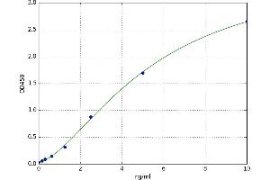 A typical standard curve