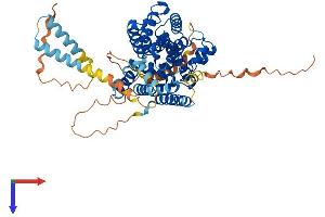 PDE1B Protein (AA 1-536) (His tag)