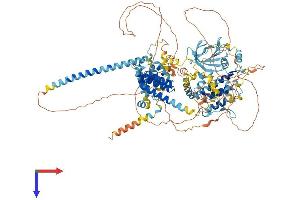 BUB1B Protein (AA 1-1050) (His tag)