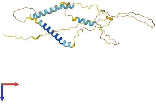 BNIP3 Protein (AA 1-194) (His tag)