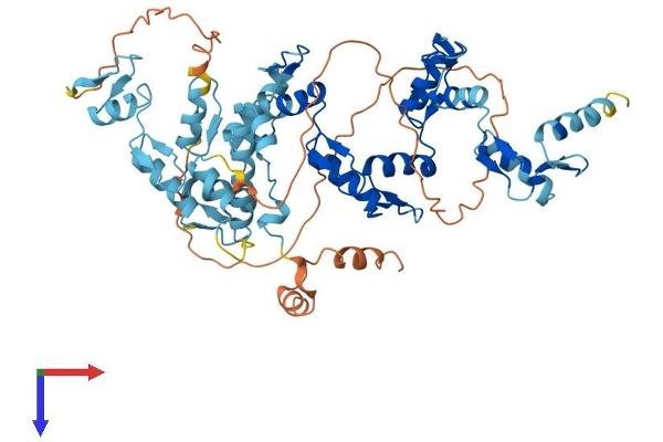 ZNF34 Protein (AA 1-560) (His tag)