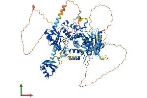 Protein Structure (PS) image for Terminal Uridylyl Transferase 1, U6 SnRNA-Specific (TUT1) (AA 1-869) protein (His tag) (ABIN7564699)