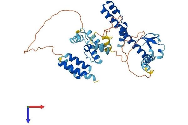DNAJB14 Protein (AA 1-379) (His tag)