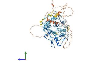 AlphaFold protein structure predicition of Human Recombinant ZNF468 Protein, UniprotID Q5VIY5