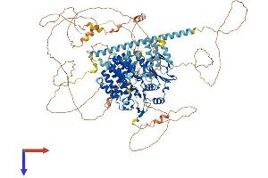 BUB1 Protein (AA 1-1085) (His tag)