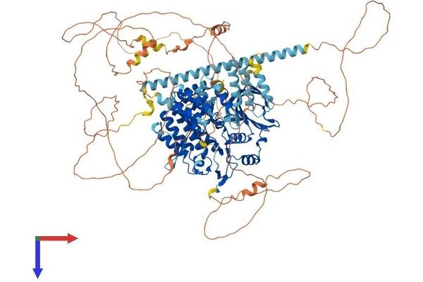 BUB1 Protein (AA 1-1085) (His tag)