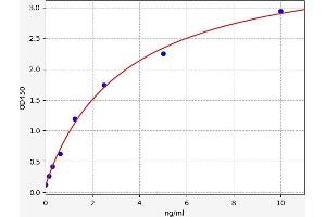 Typical standard curve (DLD ELISA Kit)