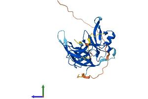 AlphaFold protein structure predicition of Mouse Recombinant Spin4 Protein, UniprotID Q8K1L2