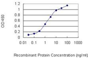 Detection limit for recombinant GST tagged PAX2 is 0. (PAX2A Antikörper  (AA 194-303))