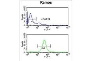 Flow Cytometry (FACS) image for anti-UDP-Gal:betaGal beta 1,3-Galactosyltransferase Polypeptide 6 (B3GALT6) (AA 241-269), (C-Term) antibody (ABIN651201)
