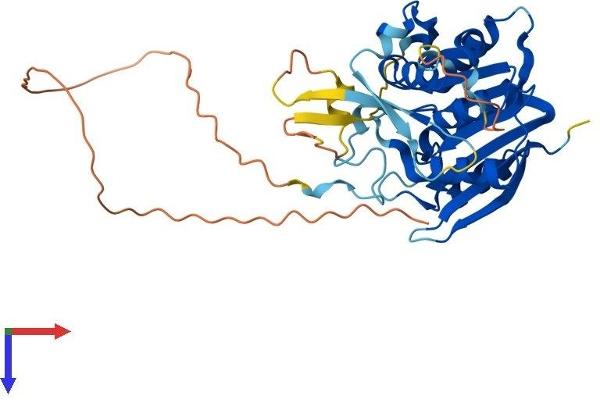 METTL18 Protein (AA 1-372) (His tag)