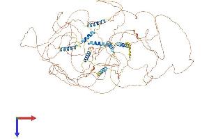 AlphaFold protein structure predicition of Mouse Recombinant Ppp1r26 Protein, UniprotID Q6A025