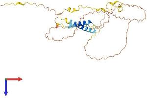 TP53TG5 Protein (AA 1-290) (His tag)