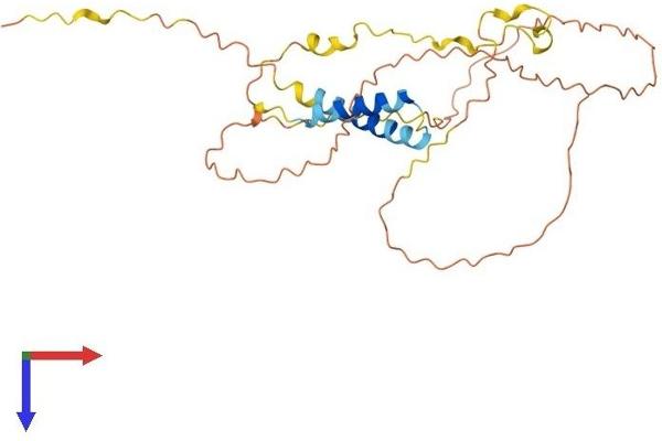 TP53TG5 Protein (AA 1-290) (His tag)