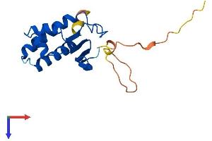 BTG1 Protein (AA 1-171) (His tag)