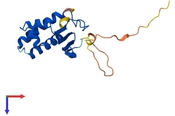 BTG1 Protein (AA 1-171) (His tag)