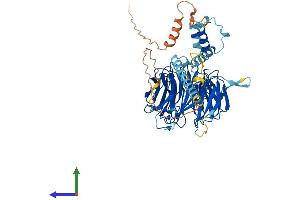 AlphaFold protein structure predicition of Human Recombinant TBL1X Protein, UniprotID O60907