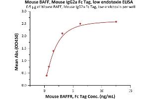 Immobilized Mouse BAFF, Mouse IgG2a Fc Tag, low endotoxin (ABIN5954906,ABIN6253646) at 5 μg/mL (100 μL/well) can bind Mouse BAFFR, Fc Tag (ABIN5526590,ABIN5526591) with a linear range of 0. (BAFF Protein (AA 127-309) (Fc Tag))
