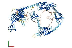 Protein Structure (PS) image for Ubiquitin Specific Peptidase 48 (USP48) (AA 1-1035) protein (His tag) (ABIN7555955)