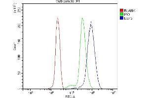Flow Cytometry analysis of U937 cells using anti-EEF2/Elongation factor 2 antibody (ABIN7603142).