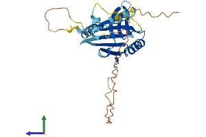 Protein Structure (PS) image for Chromosome 15 Open Reading Frame 60 (C15ORF60) (AA 1-259) protein (His tag) (ABIN7560664)