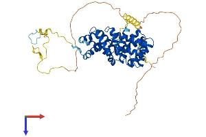 PDCD4 Protein (AA 1-469) (His tag)