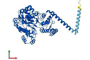 Protein Structure (PS) image for Fatty Acyl CoA Reductase 1 (FAR1) (AA 1-515) protein (His tag) (ABIN7560226)