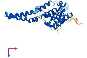 NAT8 Protein (AA 1-227) (His tag)