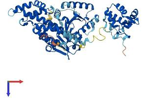 EHD3 Protein (AA 1-535) (His tag)