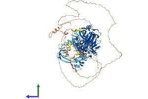 Protein Structure (PS) image for Lysine (K)-Specific Demethylase 4B (KDM4B) (AA 1-1086) protein (His tag) (ABIN7564789)