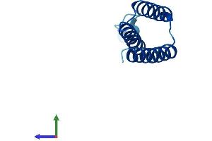 Protein Structure (PS) image for LYR Motif Containing 2 (LYRM2) (AA 1-88) protein (His tag) (ABIN7549120)