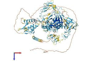 Corin Protein (AA 1-1113) (His tag)