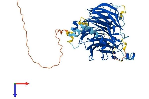 DCAF12 Protein (AA 1-453) (His tag)