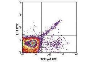 Flow Cytometry (FACS) image for anti-TCR V Gamma1.1/Cr4 antibody (FITC) (ABIN2662030) (TCR V Gamma1.1/Cr4 Antikörper (FITC))